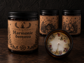 Harmonie vztahu